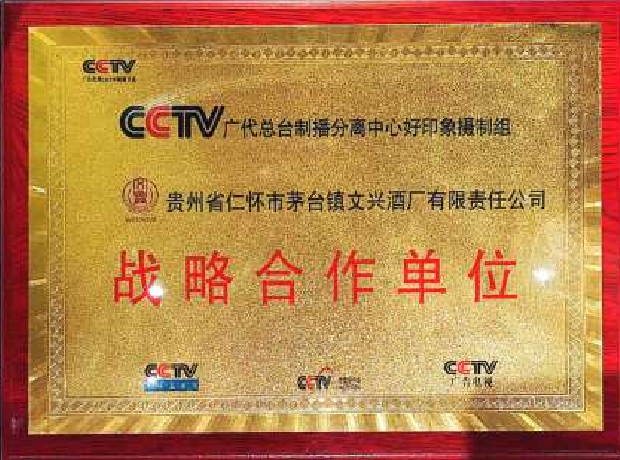 CCTV战略合作单位
